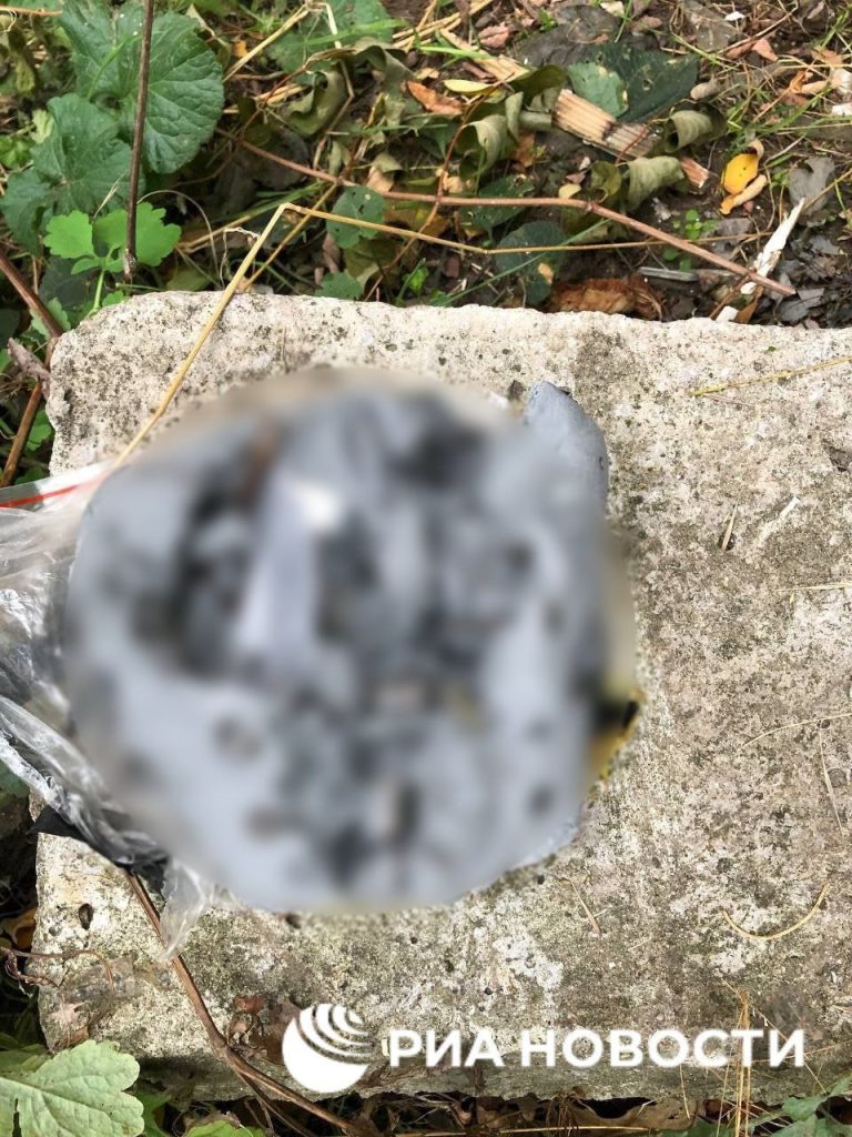 ⚡️В Мариуполе задержана девушка, пытавшаяся совершить теракт во время референдуме