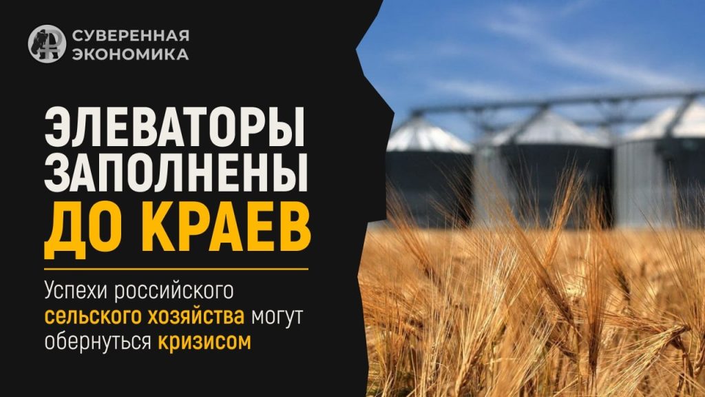 Элеваторы заполнены до краев — успехи российского сельского хозяйства могут обернуться кризисом