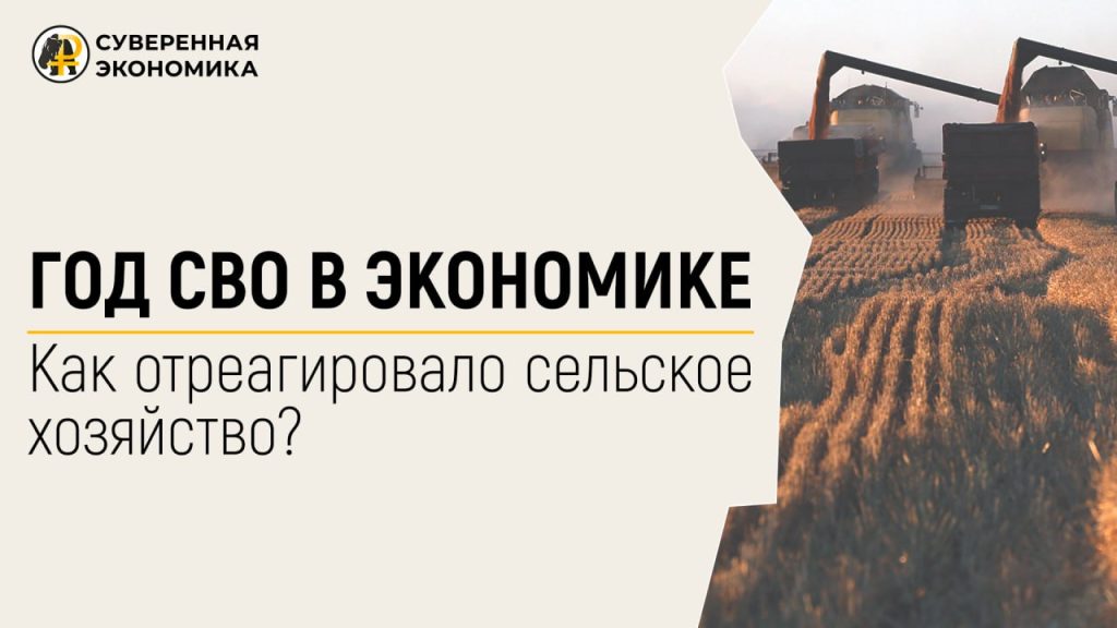Год СВО в экономике: как отреагировало сельское хозяйство?