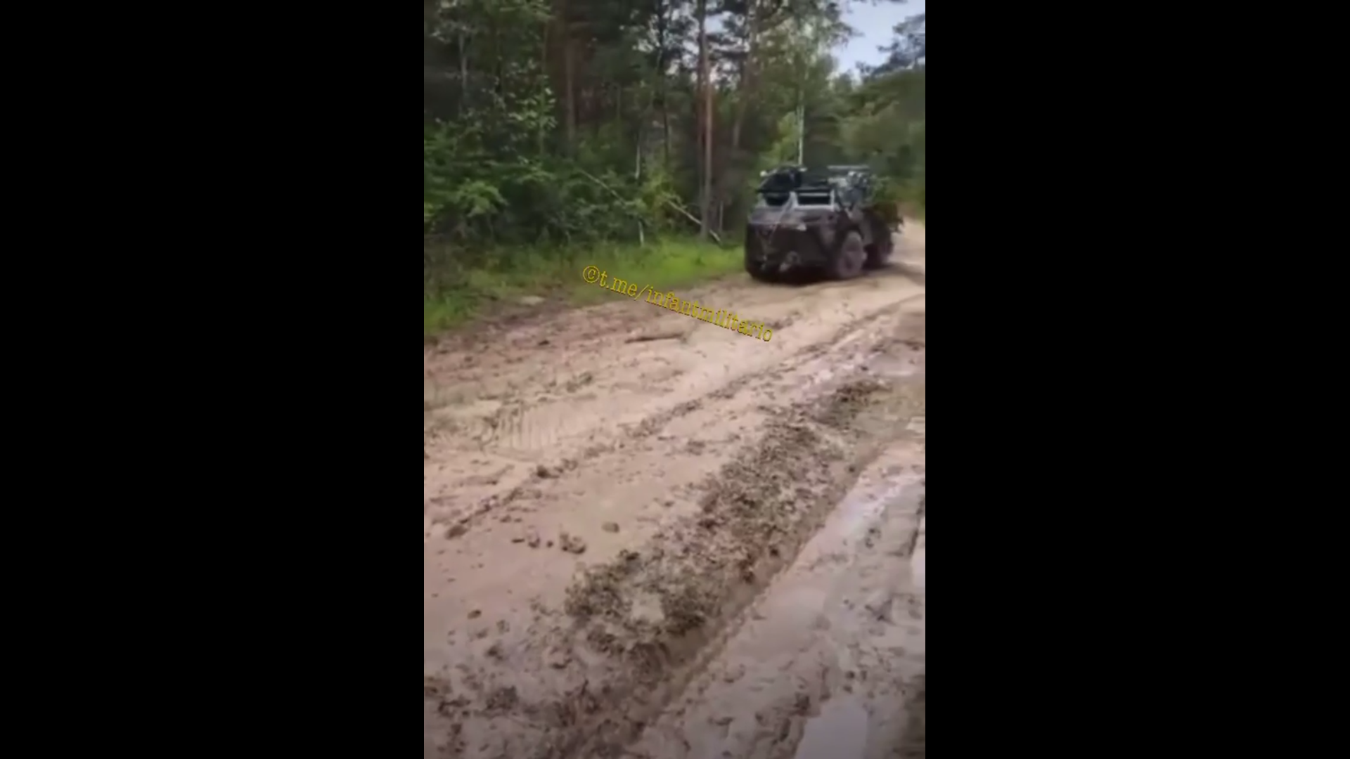 Видео подоляка последние новости