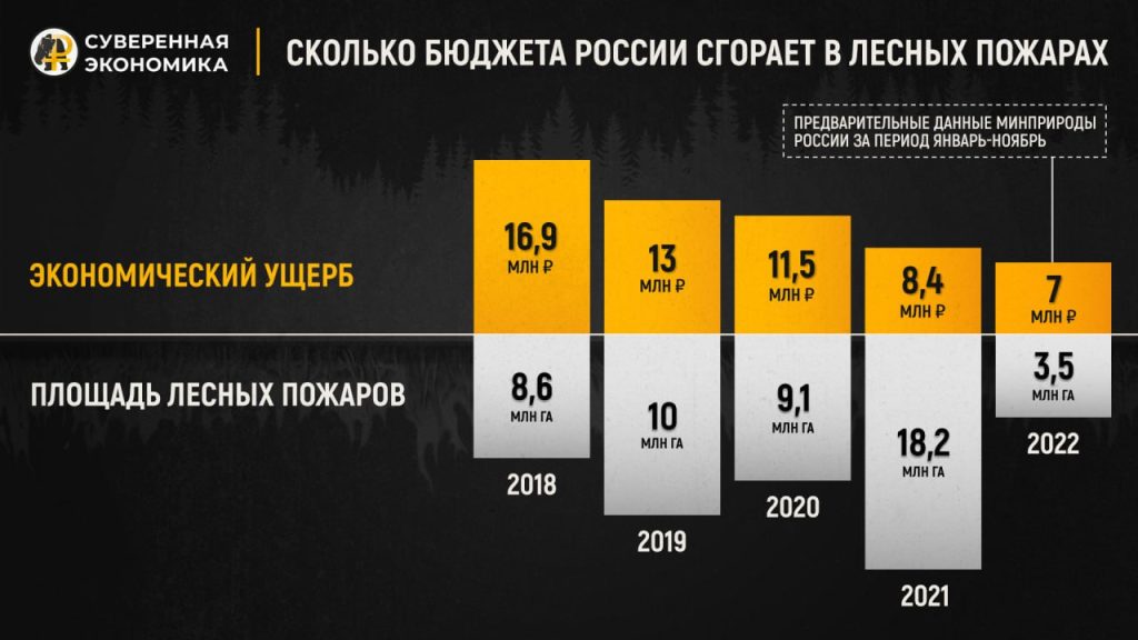 Затухающая история — сколько наша страна теряет от лесных пожаров?