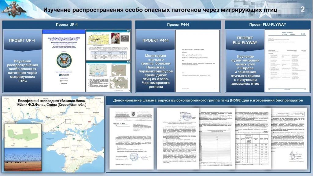 МО РФ: Украина собирала для Пентагона штаммы птичьего гриппа с летальностью до 40%