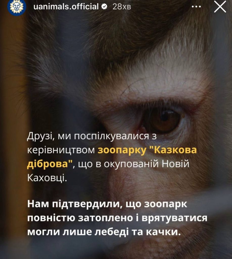 В Новой Каховке из-за разрушения Каховской ГЭС затопило зоопарк