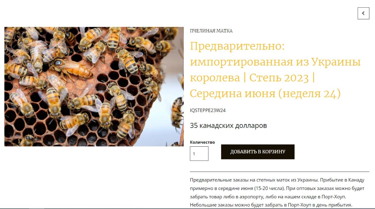 Канада вывозит пчел с Украины и продает за 35 долларов