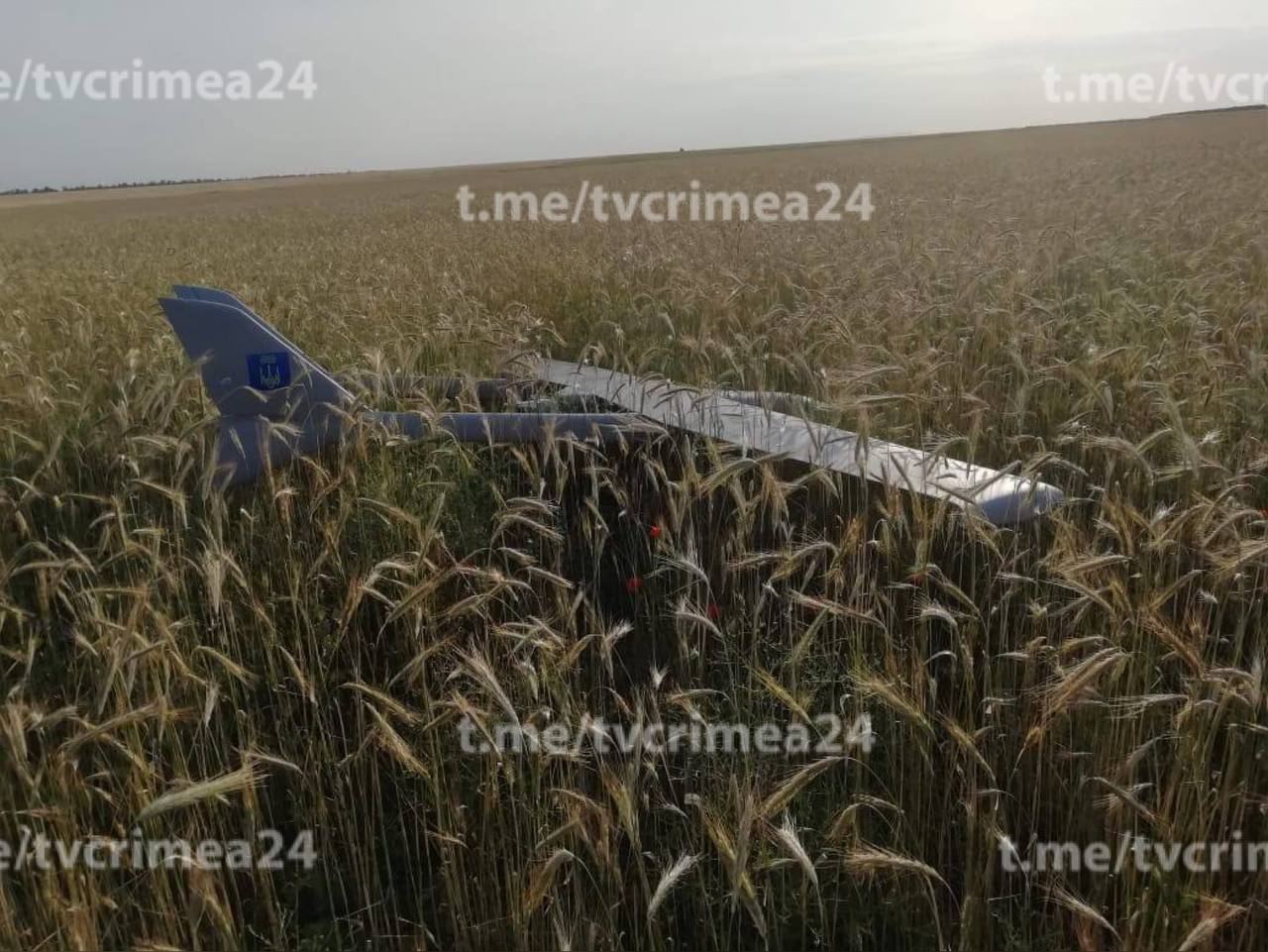 Аксенов: Ночью средствами РЭБ в Крыму посадили вражеский беспилотник