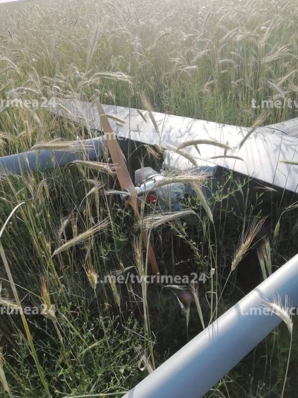 Аксенов: Ночью средствами РЭБ в Крыму посадили вражеский беспилотник