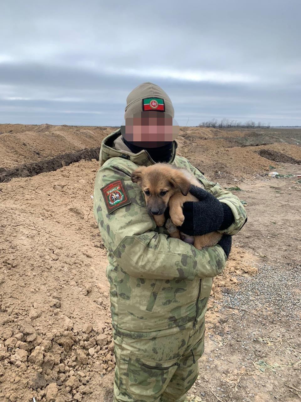 Боевые питомцы в зоне СВО