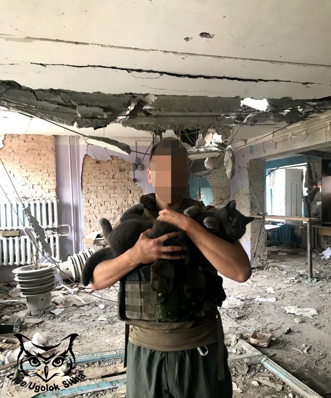 Боевые питомцы в зоне СВО