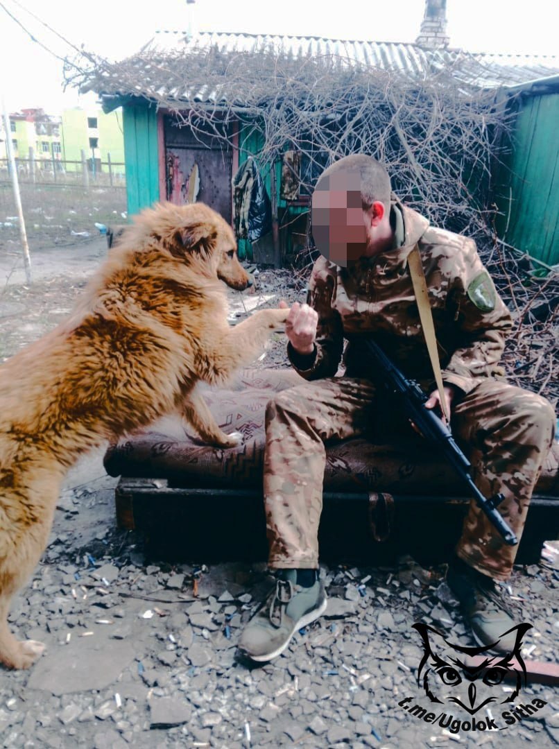 Наши бойцы в зоне проведения Специальной Военной Операции