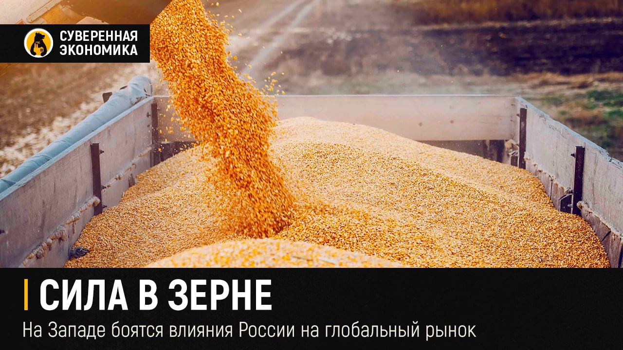 Сила в зерне — на Западе боятся влияния России на глобальный рынок