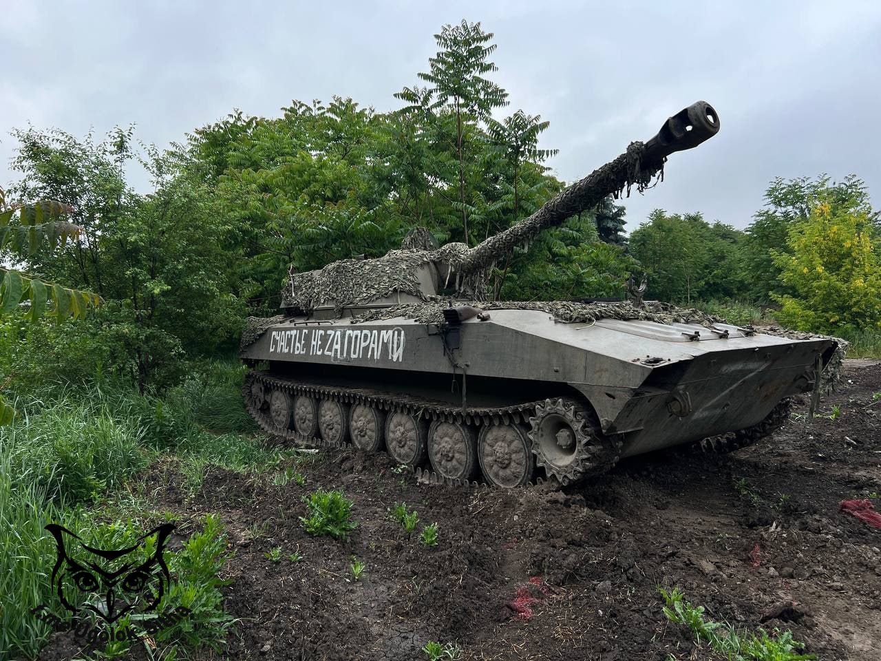 Моменты СВО