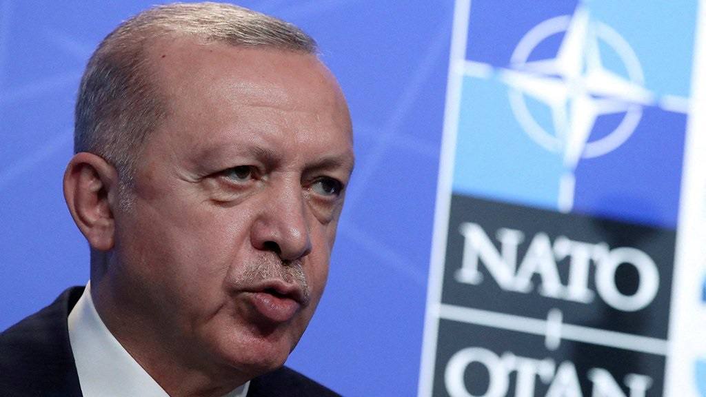 Заявление президента Турции Рэджепа Тайипа Эрдогана по итогам 74 саммита НАТО в Вильнюсе