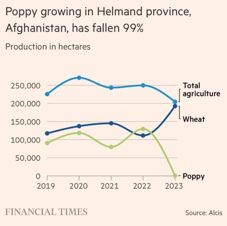 После ухода США из Афганистана в стране изменилась структура экспорта - рухнуло производство опийного мака (зеленая кривая), но резко выросло производство пшеницы (синяя)