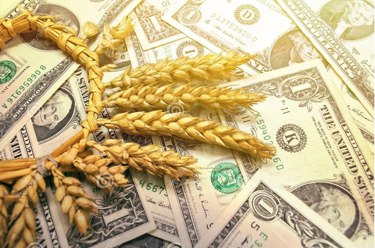Украина в случае разрыва зерновой сделки может потерять до 500 миллионов долларов в месяц