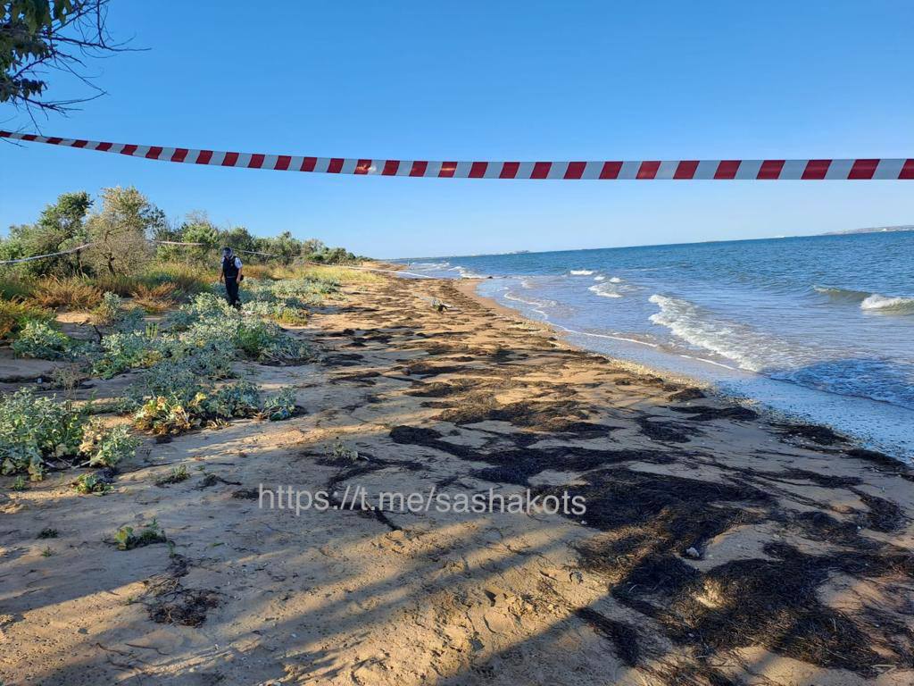 Со стороны Порта «Кавказ» обнаружен ударный беспилотник