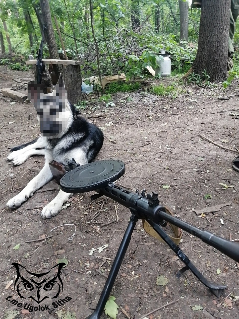 Моменты СВО на 19.07.2023