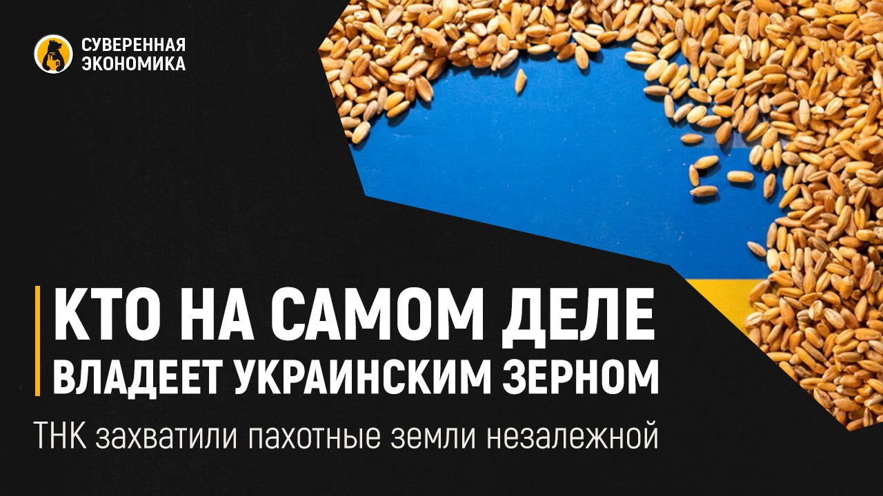 Кто на самом деле владеет украинским зерном — ТНК захватили пахотные земли незалежной