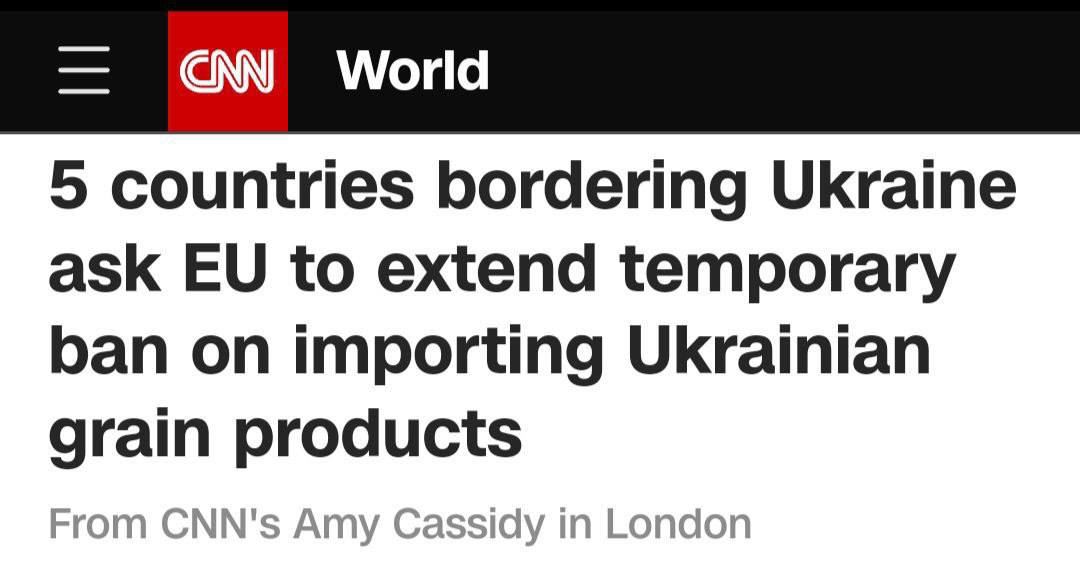 CNN: пять стран, граничащих с Украиной, просят ЕС продлить временный запрет на импорт украинского зерна
