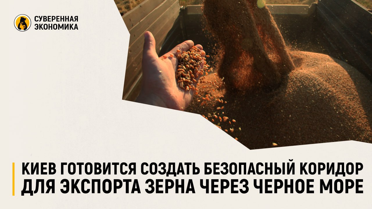 Киев готовится создать безопасный коридор для экспорта зерна через Черное море — бывший замминистра экономики Украины