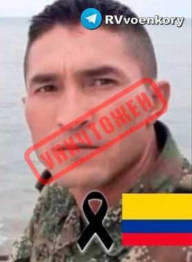 В зоне СВО уничтожены четыре иностранных наемника