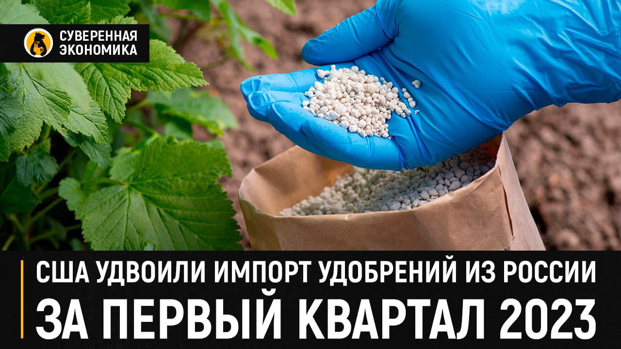 США удвоили импорт удобрений из России за первый квартал 2023 — «Росконгресс»