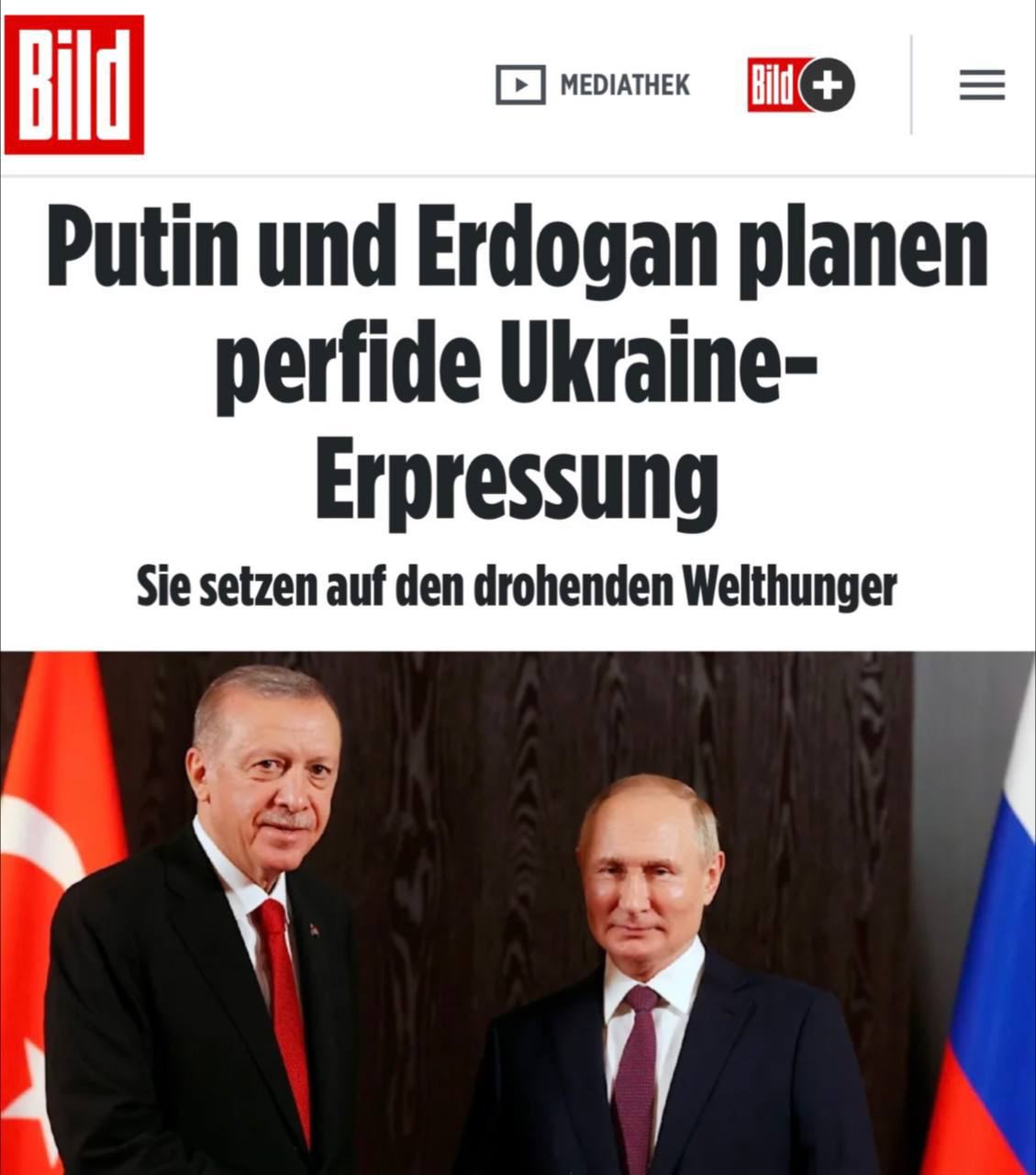 Россия, Турция и Катар готовят новое соглашение взамен зерновой сделки – BILD