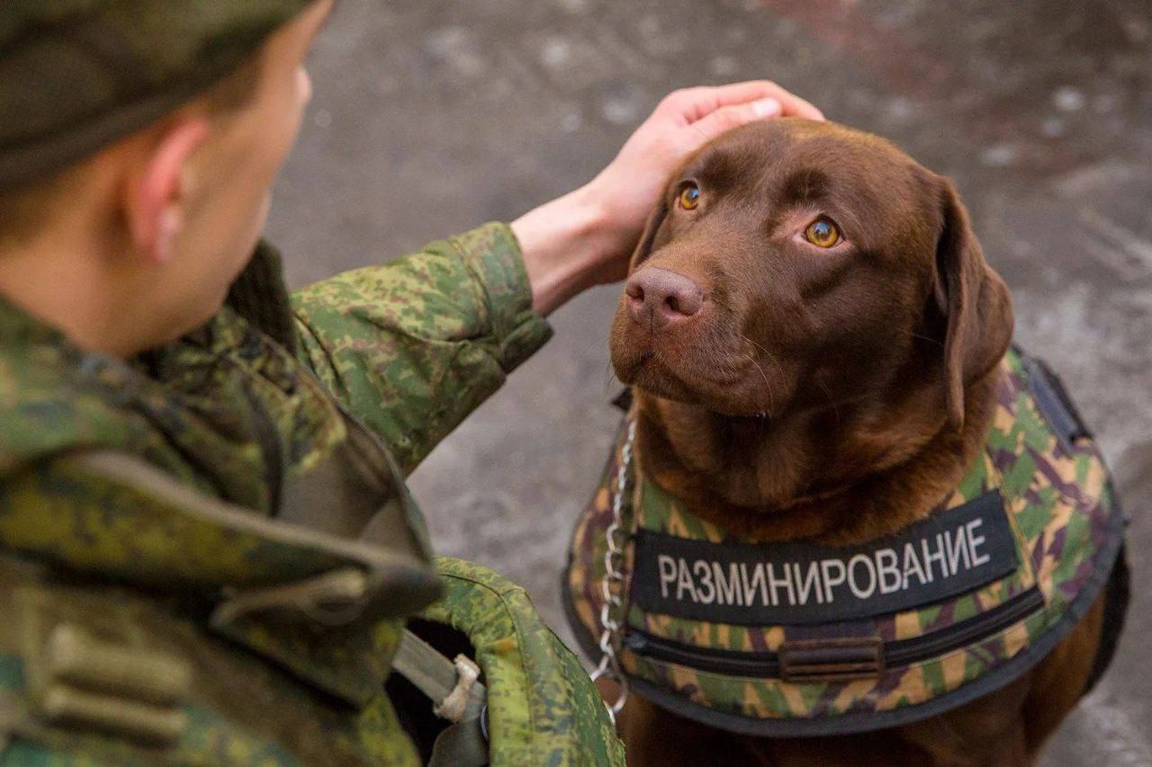 ВЕЧЕРНИЙ ЗВОН: самые звонкие события уходящего дня на 19.08.2023