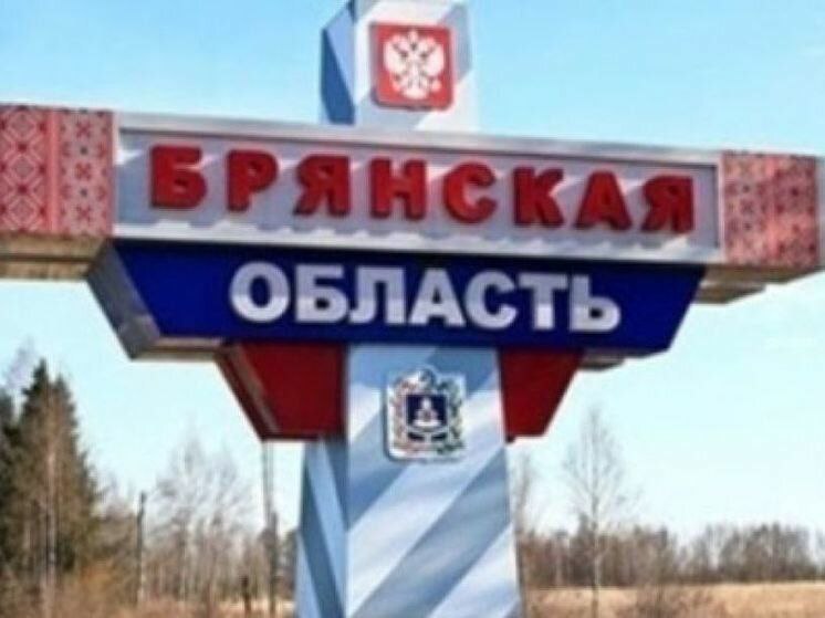 Украинская ДРГ пыталась прорваться на территорию Брянской области