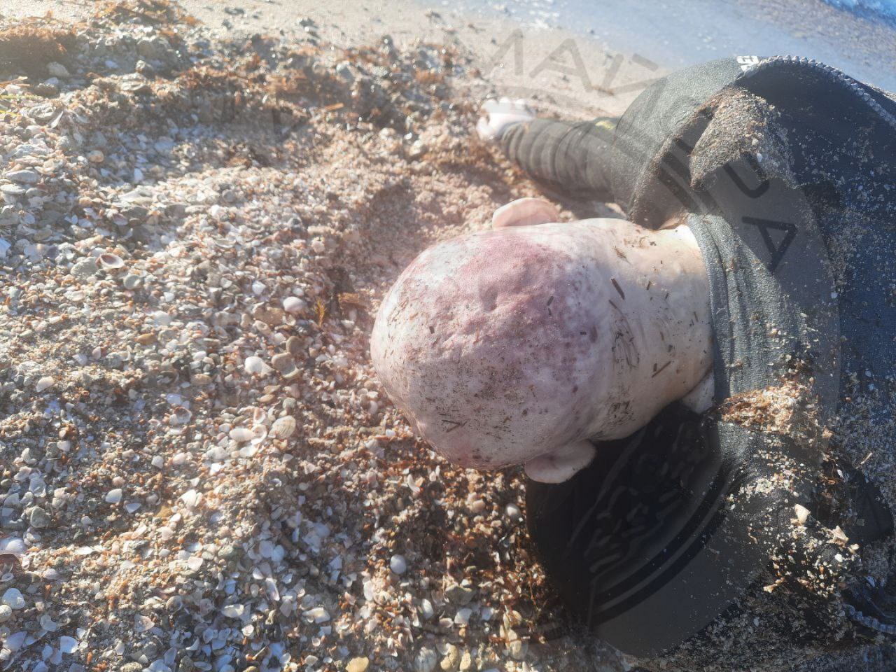 Крым, Западное побережье