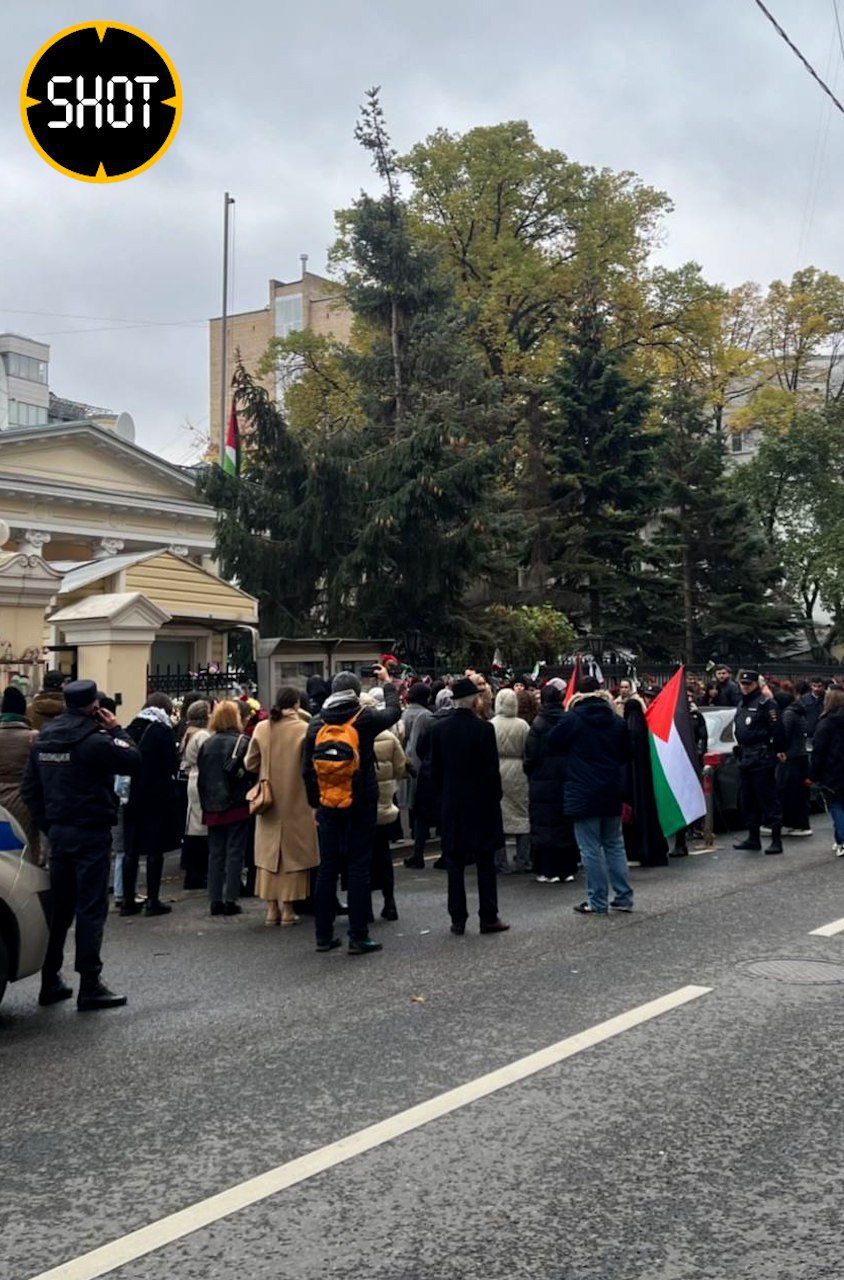 В Москве полицейские начали задержания участников митинга в поддержку Палестины