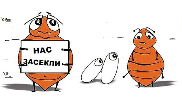Вечерний звон 23.10.2023: самые звонкие события уходящего дня