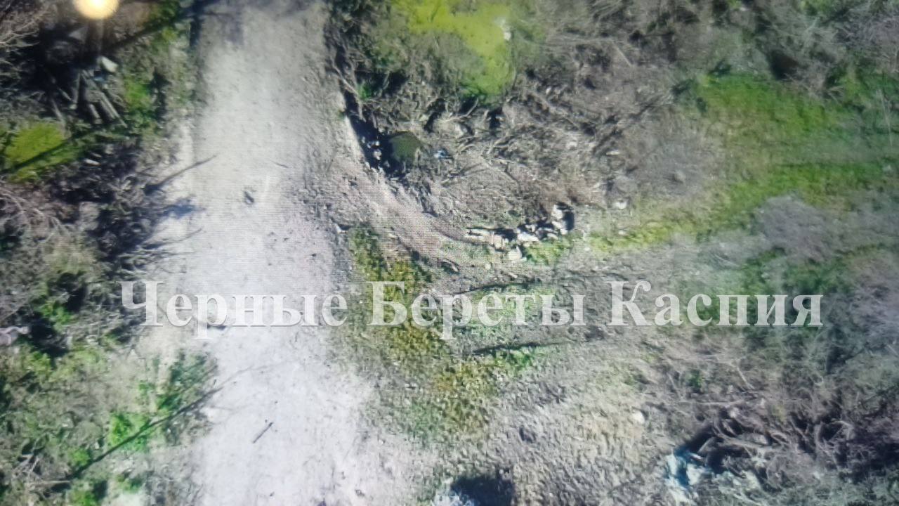 Боевики из Кракена прилегли отдохнуть