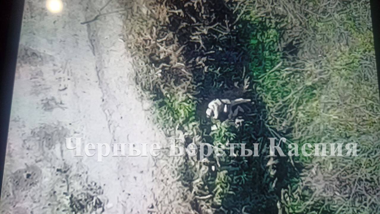 Боевики из Кракена прилегли отдохнуть