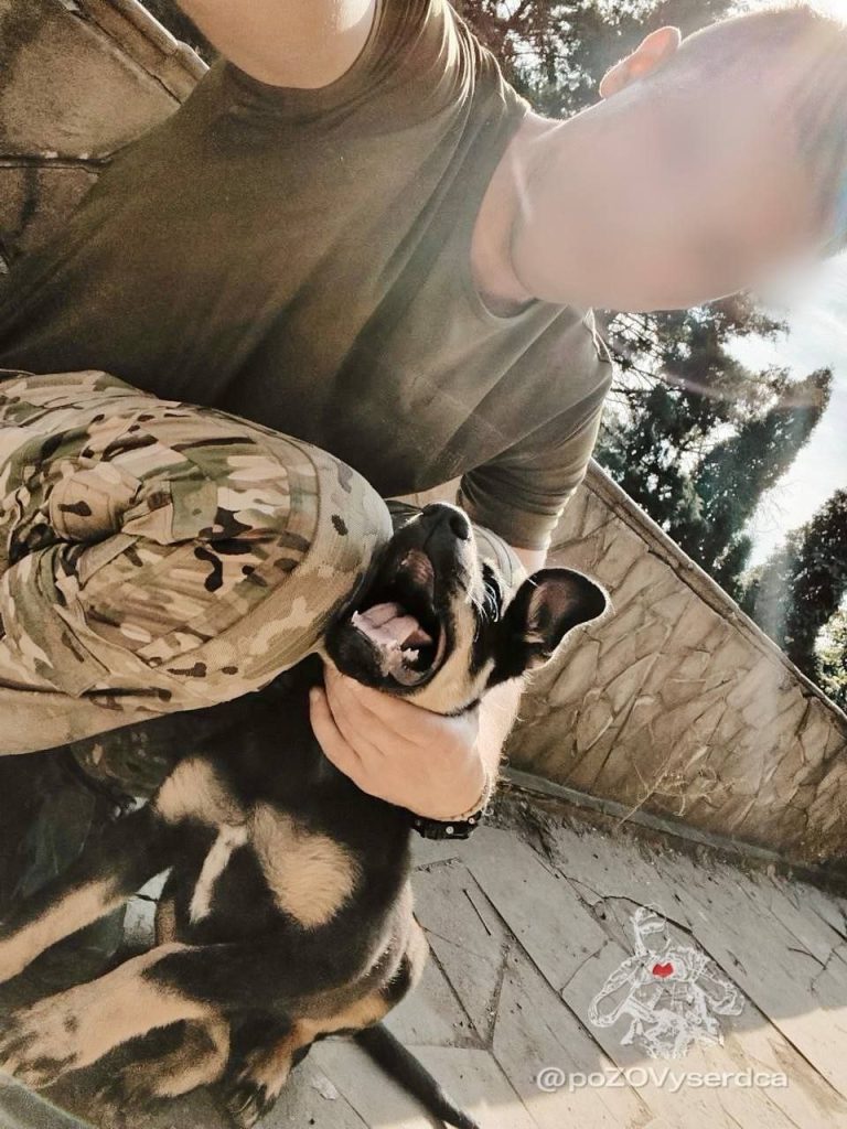 Моменты СВО