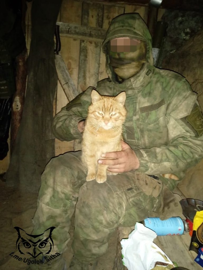 Фронтовые питомцы