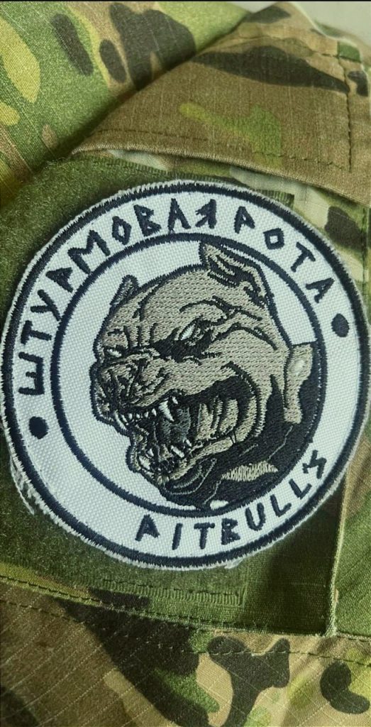 Шевроны из зоны проведения СВО