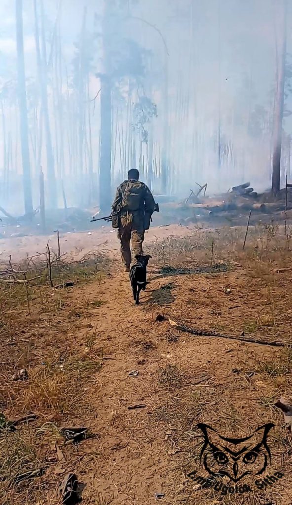 Моменты СВО