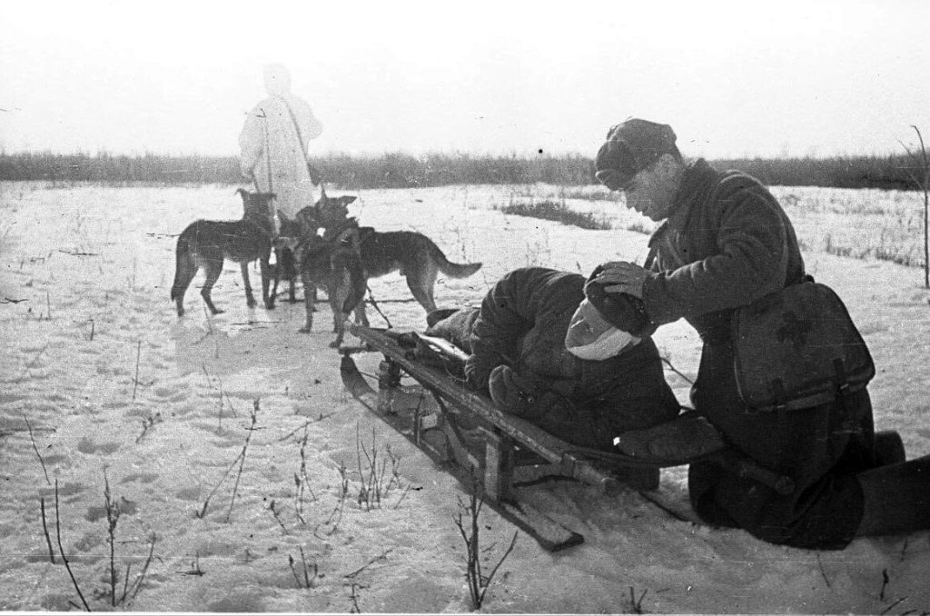 Есть такая профессия. Быть другом. Или мохнатые – ангелы.