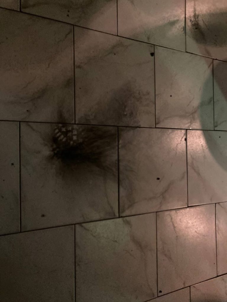 Неизвестный бросил учебную гранату на вечеринке журналистов Русской службы «Би-би-си» в Риге