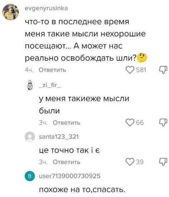А может нас и правда освобождать шли?