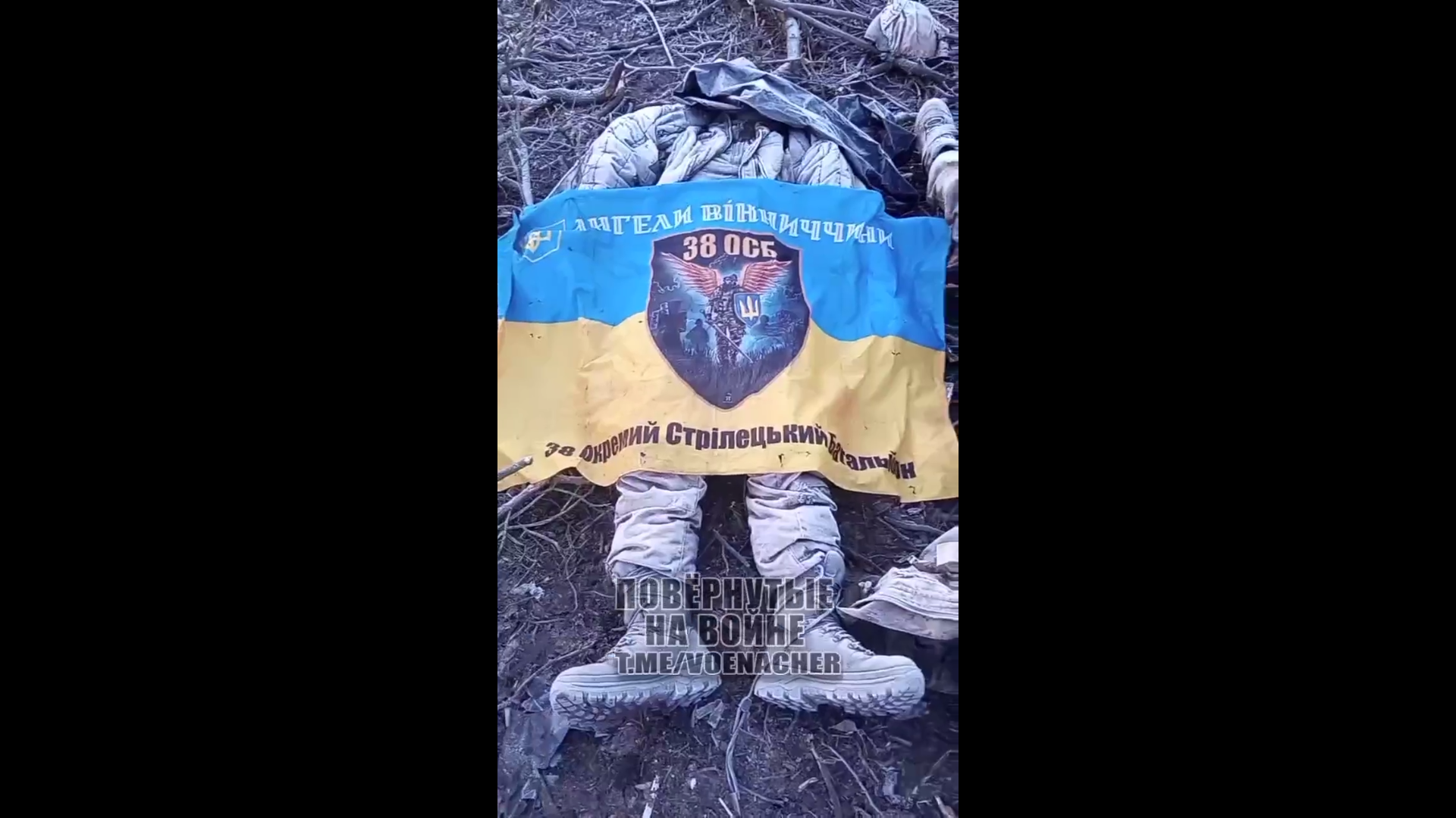 На Купянском участке фронта наши бойцы продвинулись к реке Оскол ...