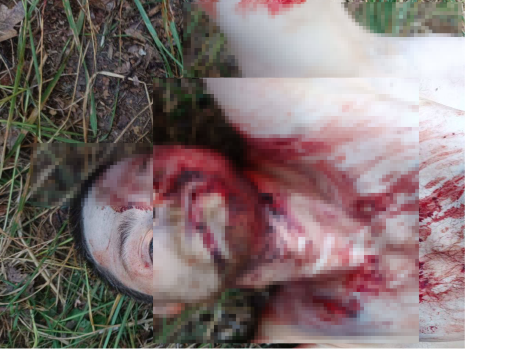 Сладков: по диверсантам, захваченным на брянщине