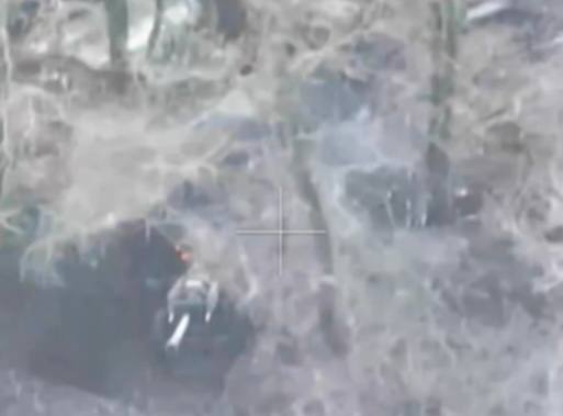 L119 - поражена