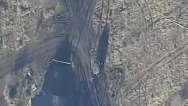 LAV ACSV TCV Super Bison - уничтожен