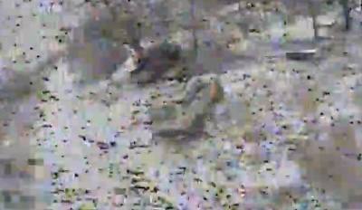 ВАЗ-2121 Нива - поражена