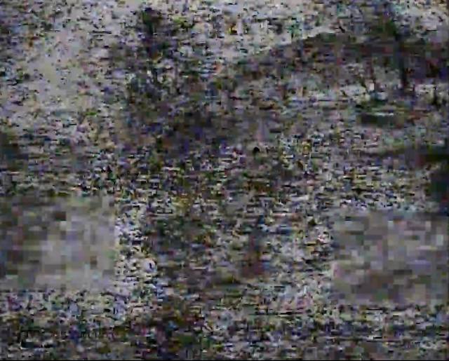 ВАЗ-2121 Нива - поражена