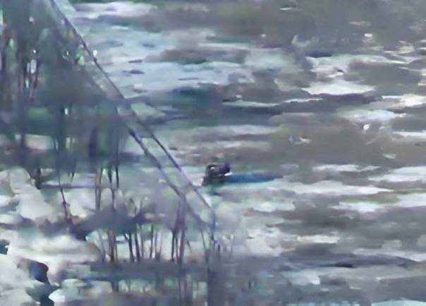 International MaxxPro - поврежден и брошен