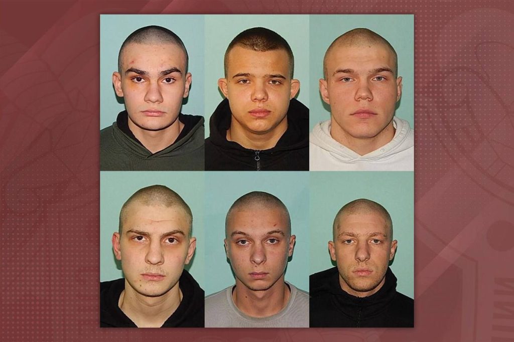 Следком публикует фото членов банды из Белгорода, ища новых пострадавших от рук отморозков