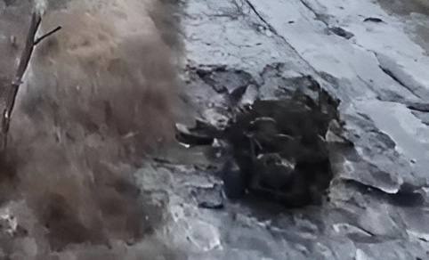 Урал-4320 (АЦ) - уничтожен