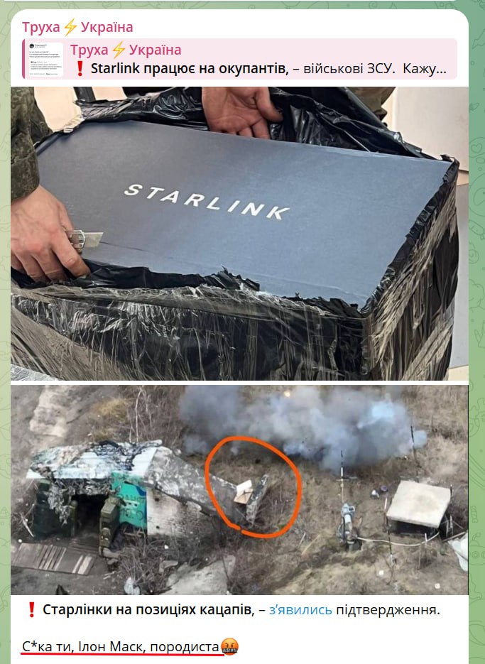 "С@ка ты Илон Маск породистая..."